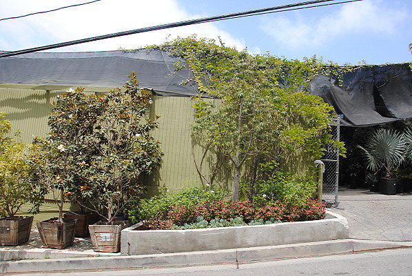 DSC 0219