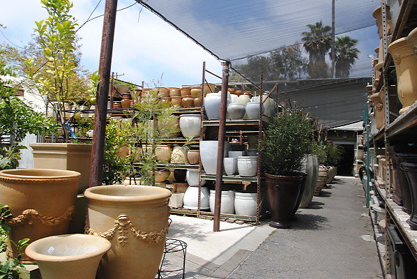 DSC 0268