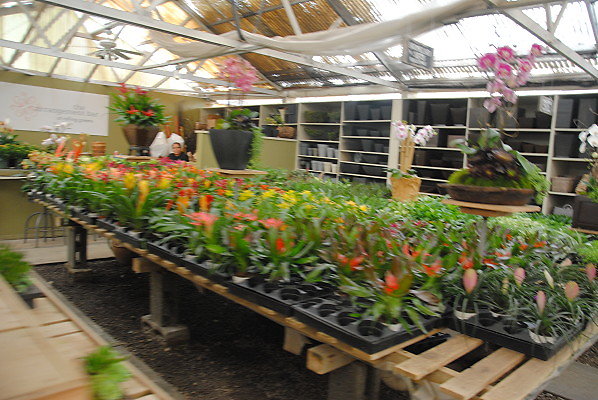 DSC 0251