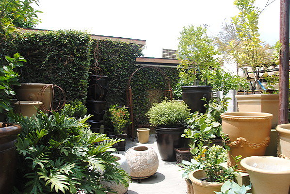 DSC 0267