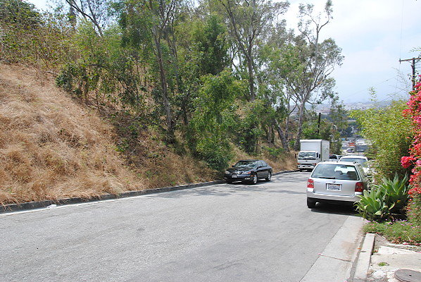 DSC 0226