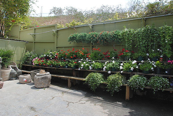 DSC 0232