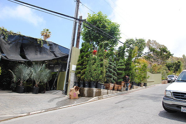 DSC 0220