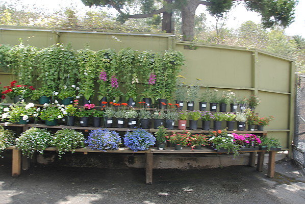 DSC 0233