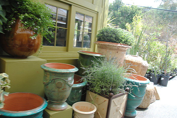 DSC 0257