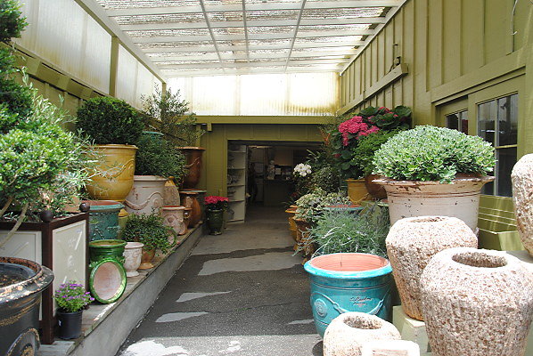 DSC 0236