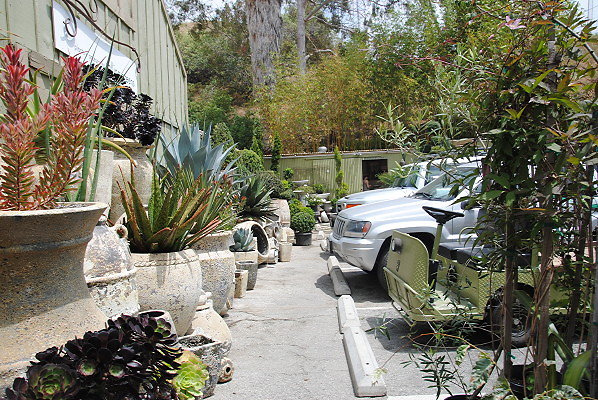 DSC 0237