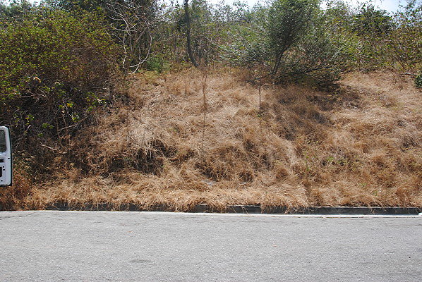 DSC 0225