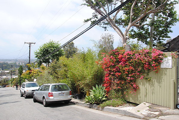 DSC 0221