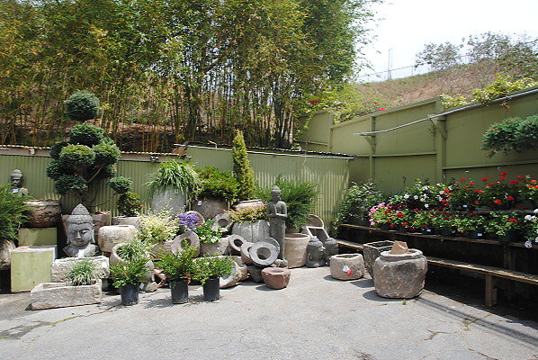DSC 0231