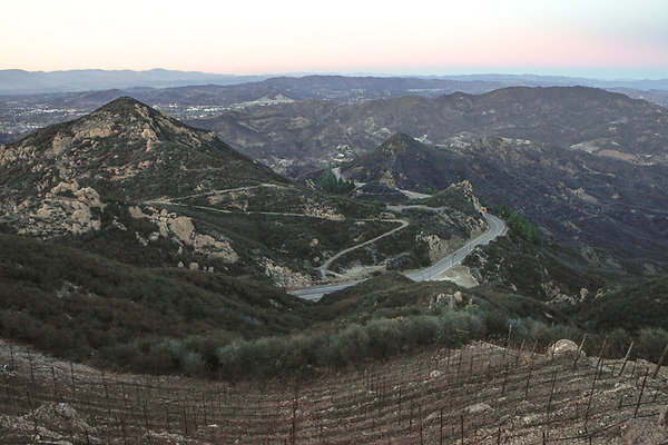 Rocky.Oaks.Vineyard.100 Rocky.Oaks.Vineyard.100