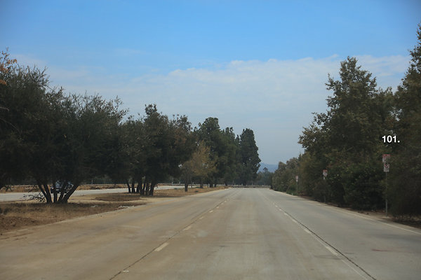 Woodley.No.Burbank.87