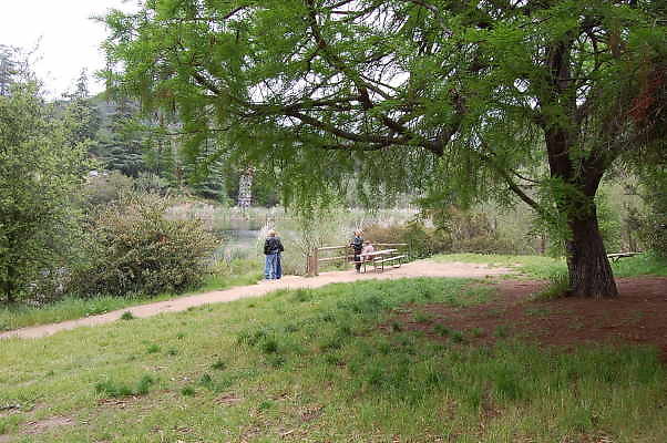 DSC 0047