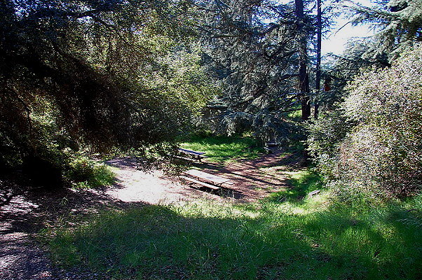 Franklin Lake Camp Site.Westside Spring