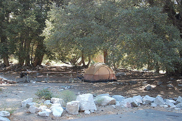 DSC 0020