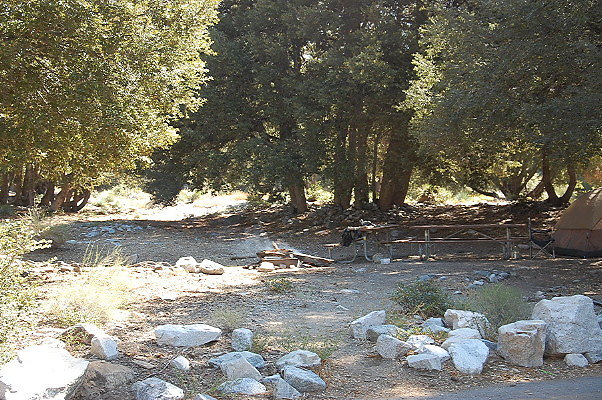 DSC 0019