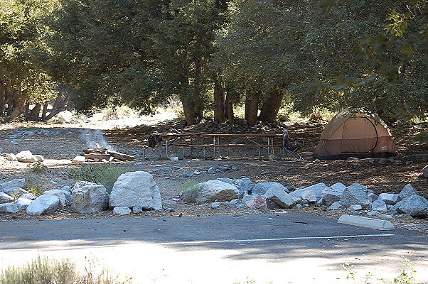 DSC 0022