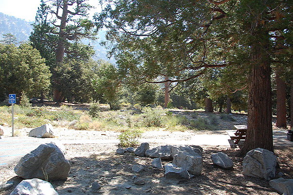DSC 0017