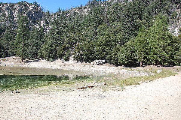 DSC 0028