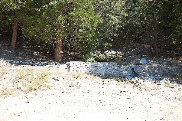 DSC 0036
