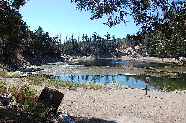DSC 0044