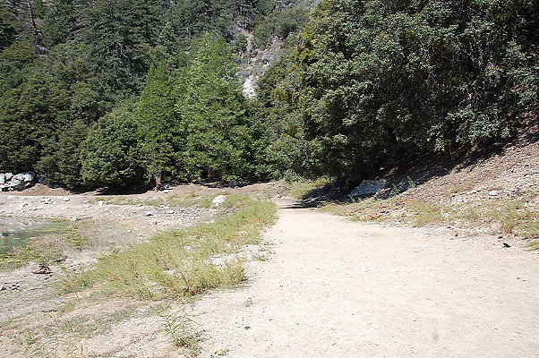 DSC 0041