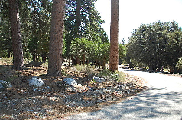 DSC 0037