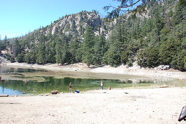 DSC 0025