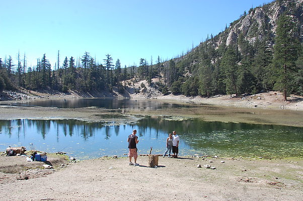 DSC 0039
