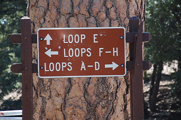 Crystal Lake Campgrounds. Loop D