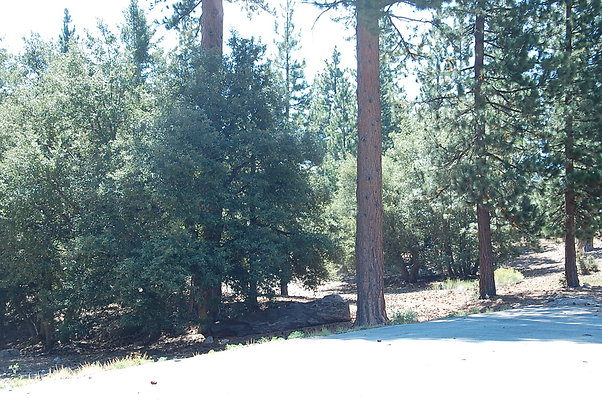 DSC 0026