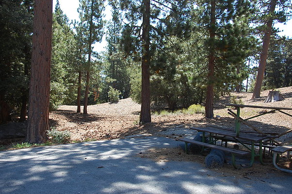 DSC 0029