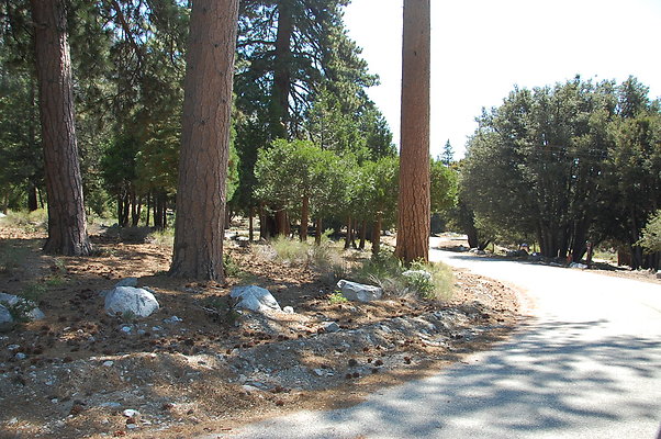DSC 0037