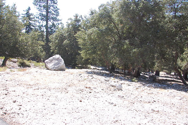 DSC 0017
