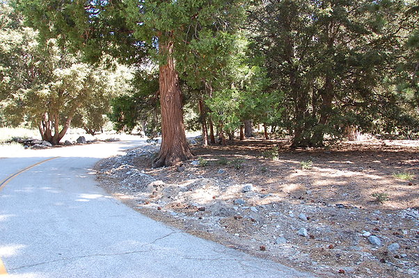 DSC 0035