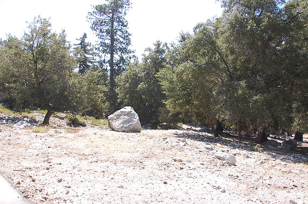 DSC 0018