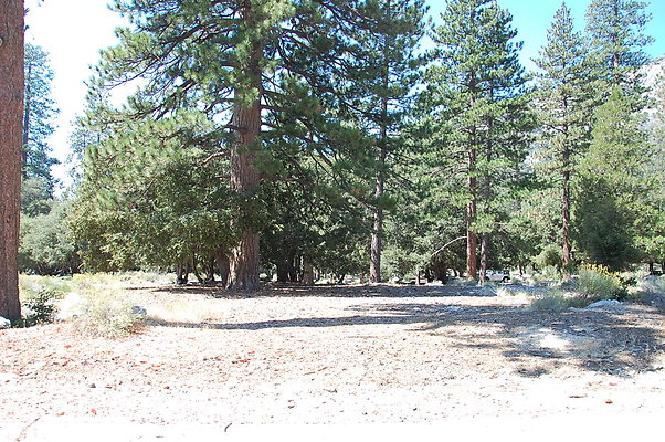 DSC 0002