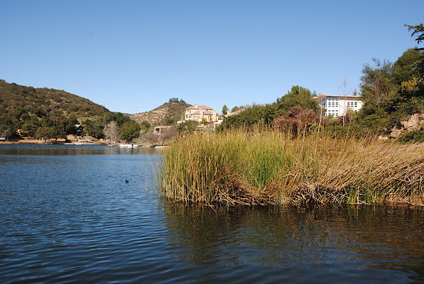 DSC 0123
