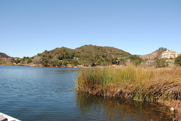 DSC 0113
