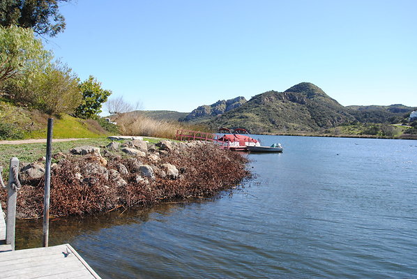 DSC 0125