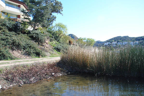 DSC 0143