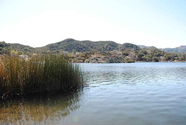 DSC 0138