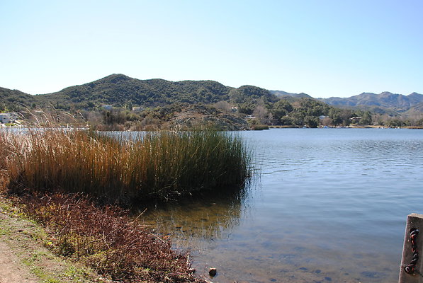 DSC 0135