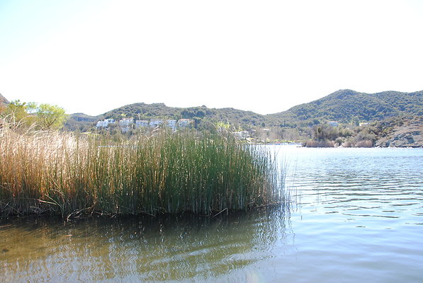DSC 0145