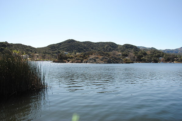 DSC 0147