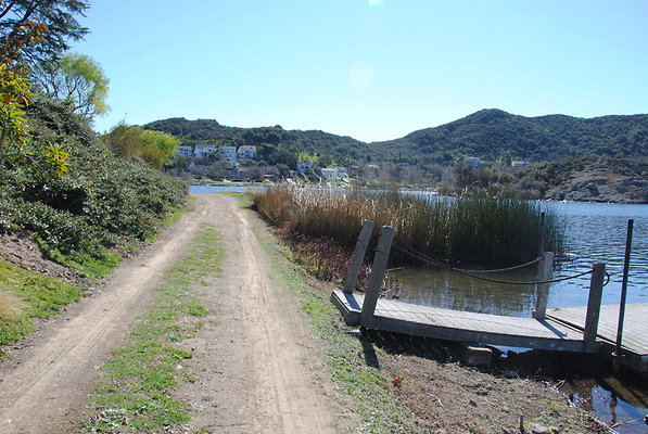 DSC 0153
