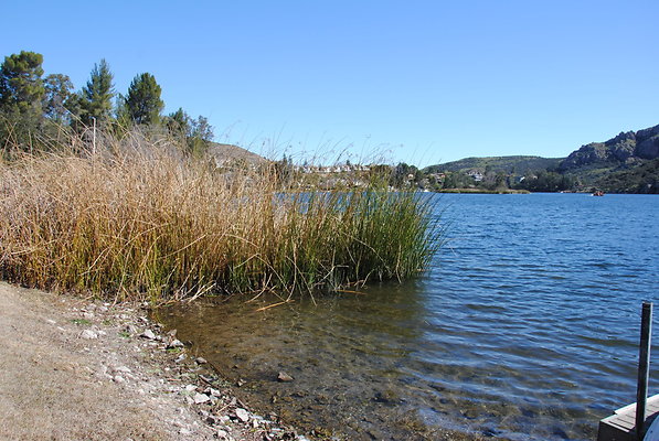 DSC 0013