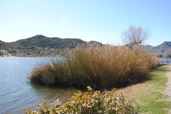 DSC 0045