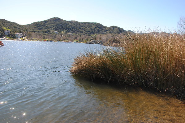 DSC 0054