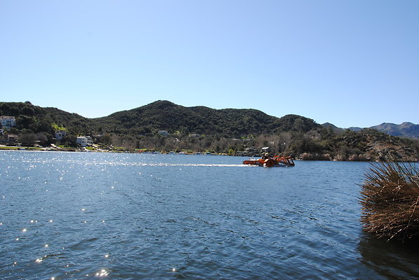DSC 0061